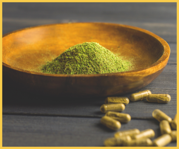 Kratom Plant Guides Uses Effects and Active Alkaloids