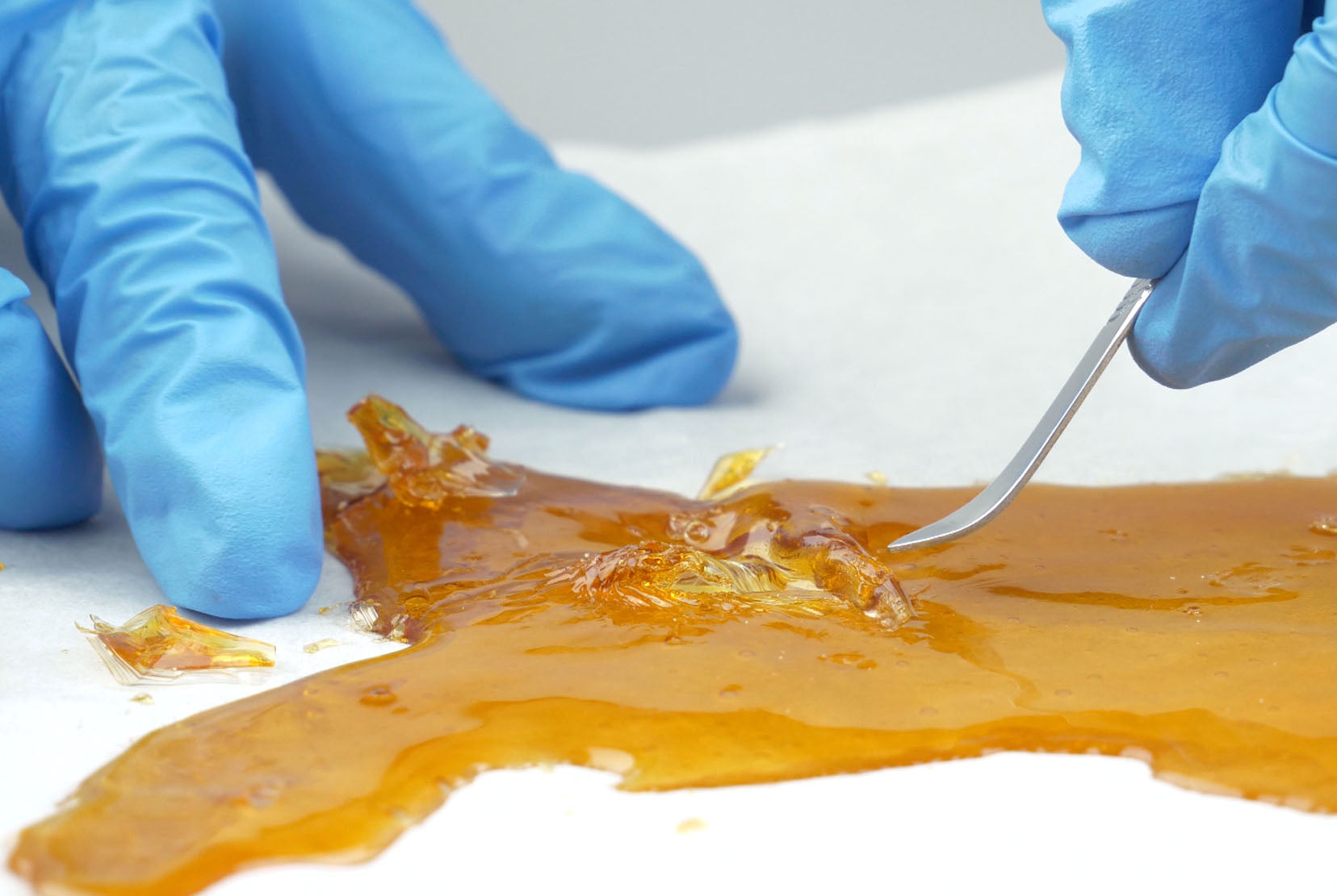 Live resin: all you need to know about high concentrated terpenes
