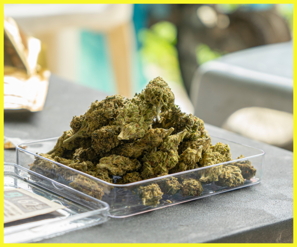 What is THCA? Everything You Need to Know