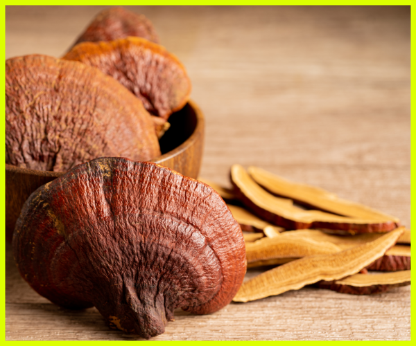 Reishi Mushrooms: The Ancient "Mushroom of Immortality" for Modern Wellness